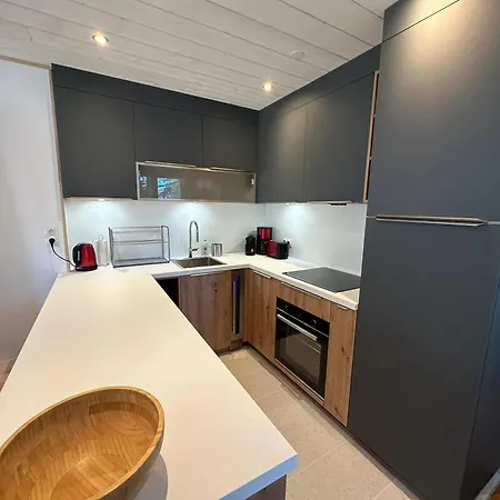 Chaleureux A Fours 48m² Vue Montagne *